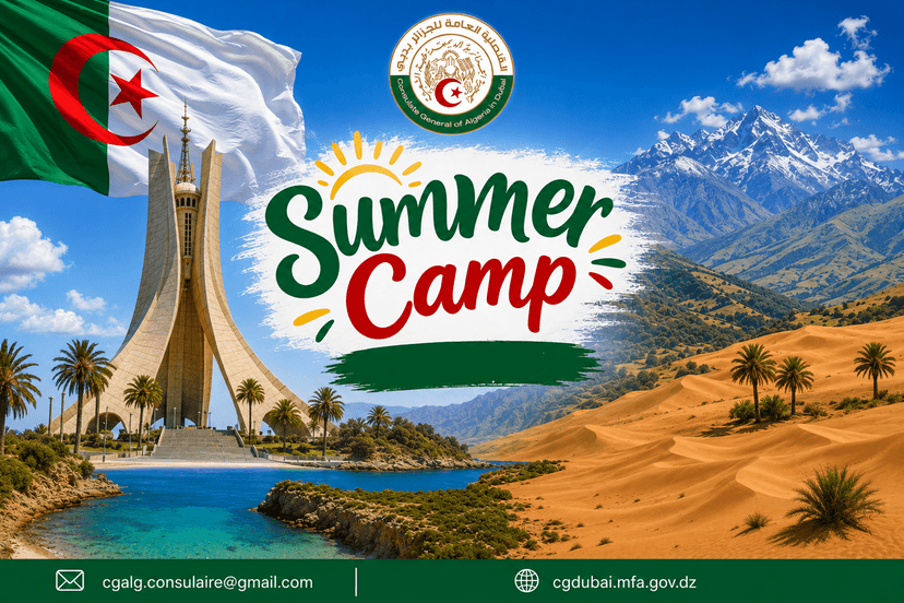 Organizing educational programs in the form of summer camps for the children of the national community residing abroad